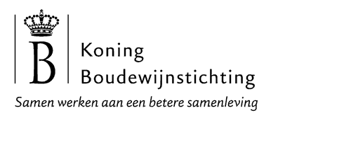 logo-koning-boudewijnstichting.gif